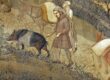 maiale da tartufo nel bosco