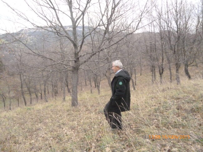 Tocci dott. Augusto (Agronomo docente forestale)