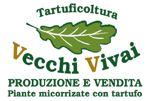 logo_vecchivivai_300x200