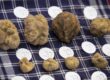 fiera tartufo