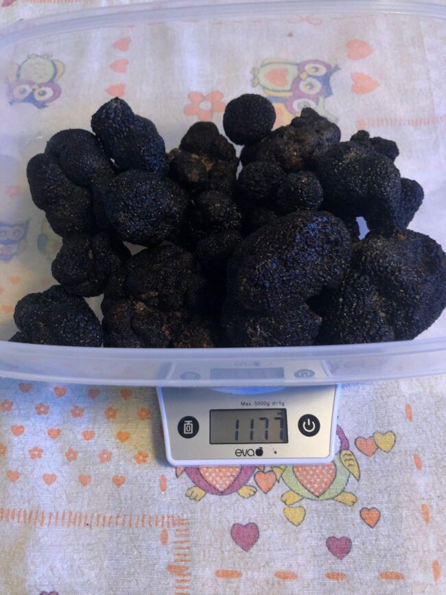 Tartufo nero Pregiato di San Marino