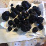 Tartufo nero Pregiato di San Marino