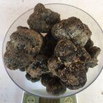 Tartufo nero Pregiato di San Marino