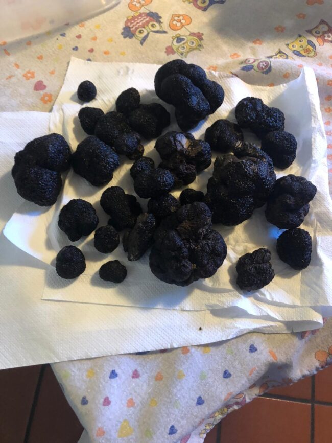Tartufo nero Pregiato di San Marino