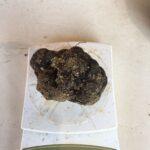 Tartufo nero Pregiato di San Marino