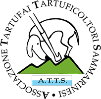 Logo atts 200
