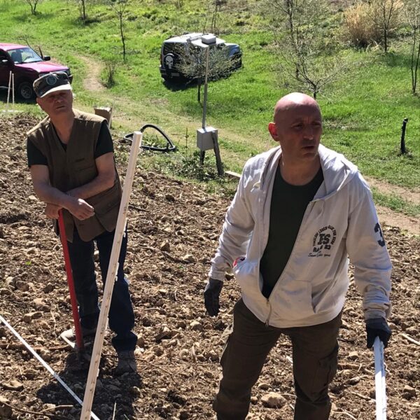 Piante micorrizate tartufo nero pregiato San Marino
