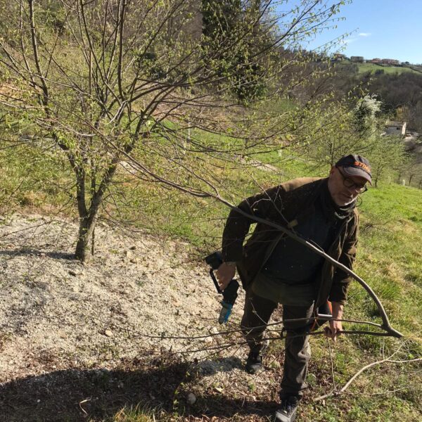 Piante micorrizate tartufo nero pregiato San Marino